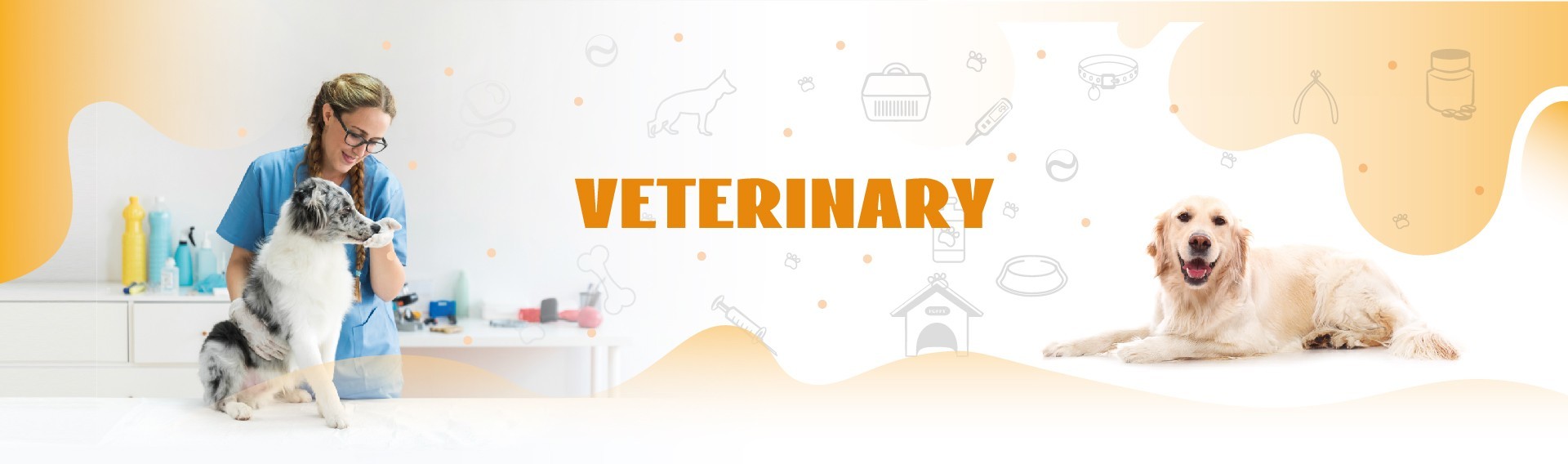 Qualität Schnelle Test-Veterinärausrüstung Bedienung